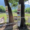 assoluti ditalia enduro 2012 fener_26